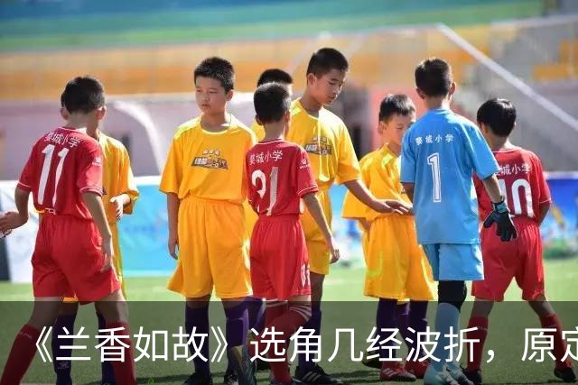 《兰香如故》选角几经波折，原定吴谨言因怀孕退出，谭松韵与刘学义作为备选出演。二人靠演技扭转开播差评，成就意外的天选组合。