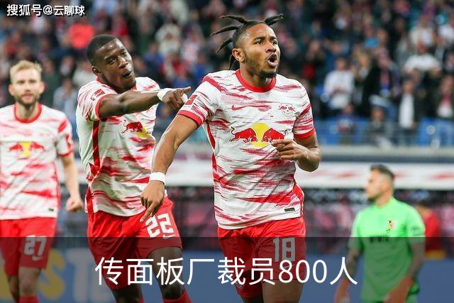 传面板厂裁员800人