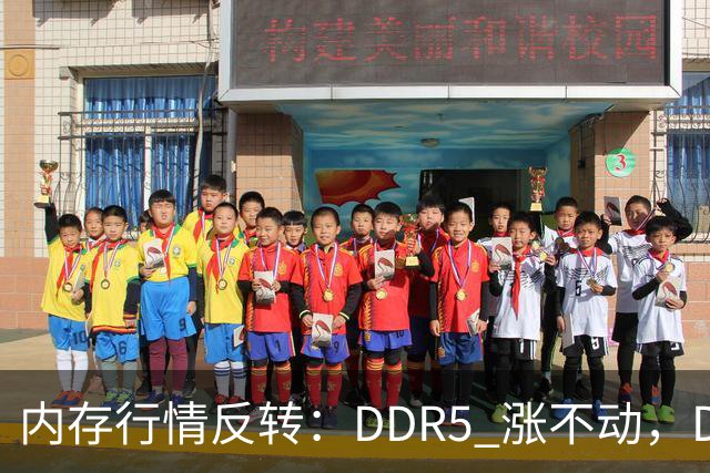 内存行情反转：DDR5 涨不动，DDR3/DDR4 和显卡价格持续冲高