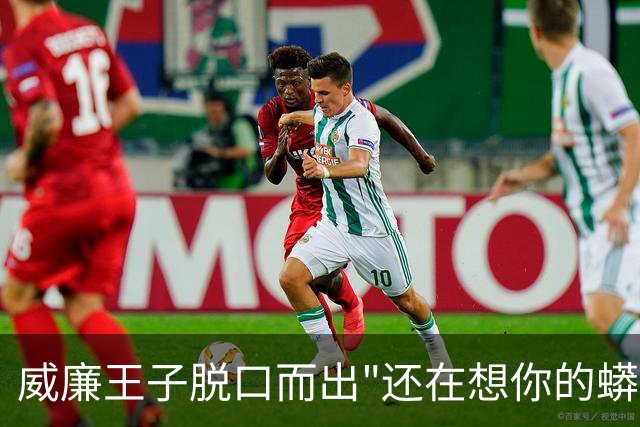 威廉王子脱口而出"还在想你的蟒蛇"，观众：他可是要当国王的人