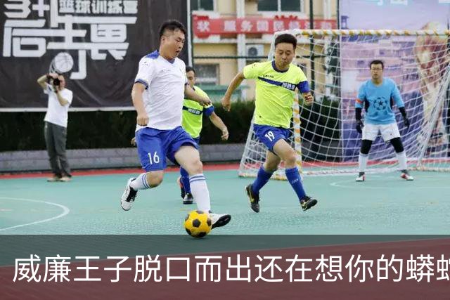 威廉王子脱口而出"还在想你的蟒蛇"，观众：他可是要当国王的人