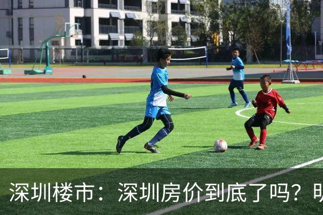 深圳楼市：深圳房价到底了吗？明年会不会涨？