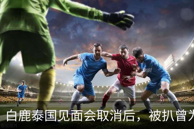 白鹿泰国见面会取消后，被扒曾为缅北拍宣传片，知情人爆更多内幕