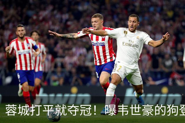 蓉城打平就夺冠！曝韦世豪的狗登上看台TIFO：见识见识你的本事