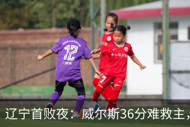 辽宁首败夜：威尔斯36分难救主，孙铭徽伤退广厦仍赢球