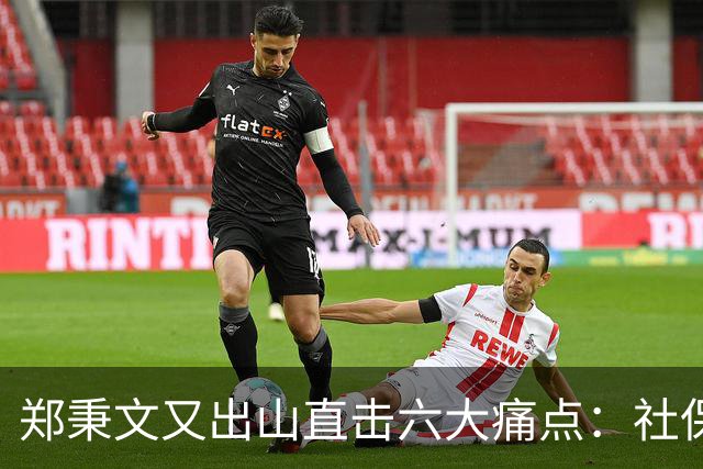 郑秉文又出山直击六大痛点：社保第六险全国推广，难题才刚刚开始