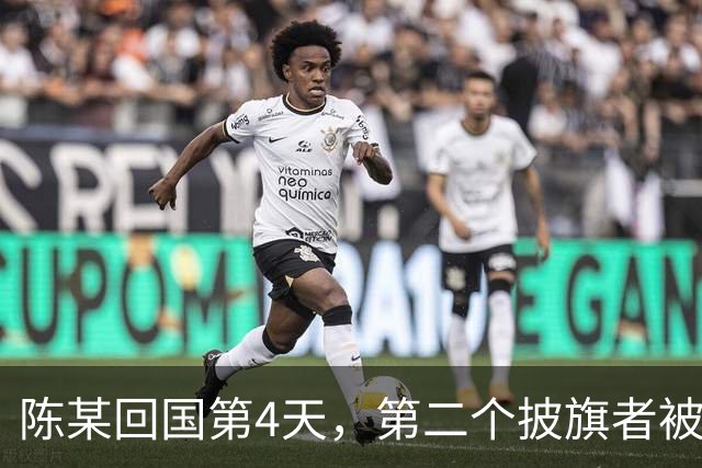 陈某回国第4天，第二个披旗者被揪了出来，现形后想销号跑路