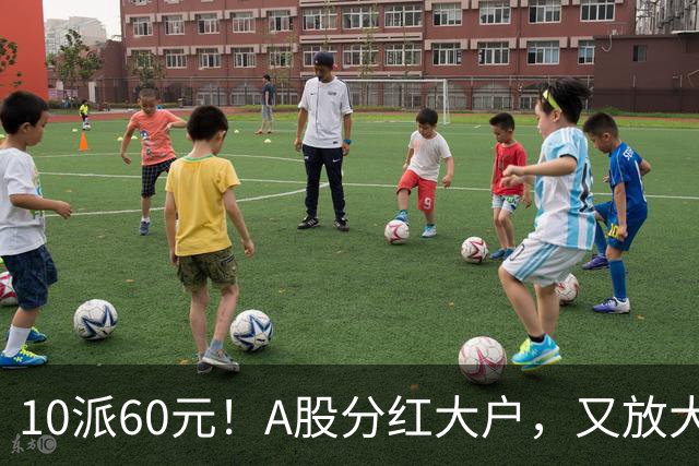 10派60元！A股分红大户，又放大招